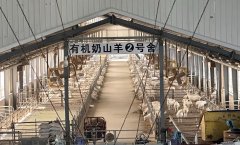 食安陕西三秦行｜咸阳企业摸索食物平安办理新